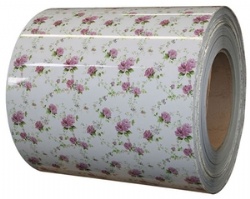 Color Coated Steel Coil PPGI PPGL