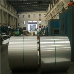 Galvanized Steel Coil
